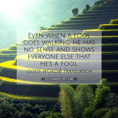 Picture 07 - Ecclesiastes 10:3 GW - Even when a fool goes walking, he has no sense - Bible Verse Picture