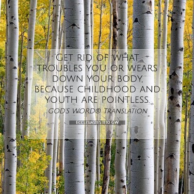 Picture 07 - Ecclesiastes 11:10 GW - Get rid of what troubles you or wears down your - Bible Verse Picture