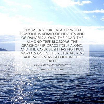Picture 07 - Ecclesiastes 12:5 GW - Remember your Creator when someone is afraid of - Bible Verse Picture