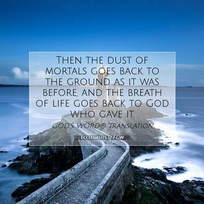 Picture 07 - Ecclesiastes 12:7 GW - Then the dust of mortals goes back to the ground - Bible Verse Picture