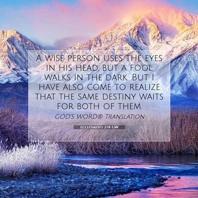 Picture 07 - Ecclesiastes 2:14 GW - A wise person uses the eyes in his head, but a - Bible Verse Picture