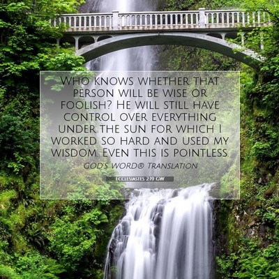 Picture 07 - Ecclesiastes 2:19 GW - Who knows whether that person will be wise or - Bible Verse Picture