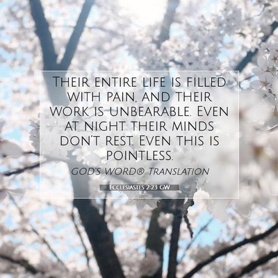 Picture 07 - Ecclesiastes 2:23 GW - Their entire life is filled with pain, and their - Bible Verse Picture