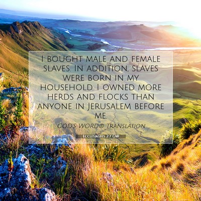 Picture 07 - Ecclesiastes 2:7 GW - I bought male and female slaves. In addition, - Bible Verse Picture