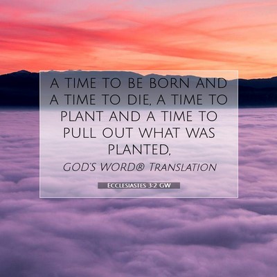 Picture 07 - Ecclesiastes 3:2 GW - a time to be born and a time to die, a time to - Bible Verse Picture