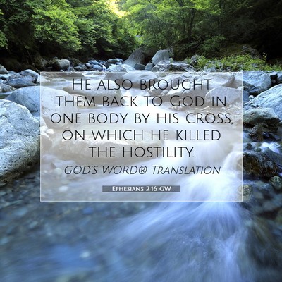 Picture 07 - Ephesians 2:16 GW - He also brought them back to God in one body by - Bible Verse Picture