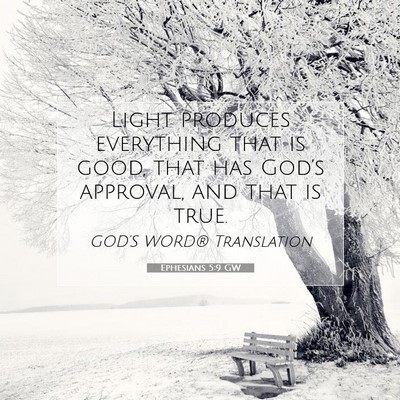 Picture 07 - Ephesians 5:9 GW - Light produces everything that is good, that has - Bible Verse Picture