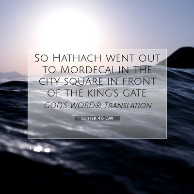Picture 07 - Esther 4:6 GW - So Hathach went out to Mordecai in the city - Bible Verse Picture