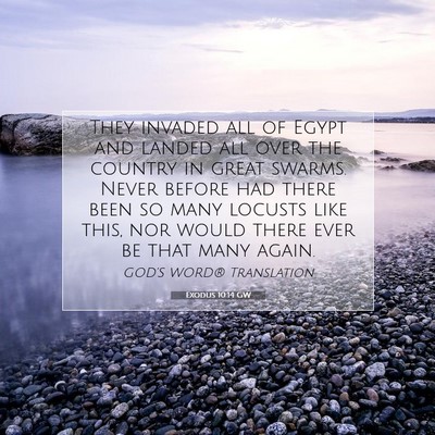 Picture 07 - Exodus 10:14 GW - They invaded all of Egypt and landed all over the - Bible Verse Picture