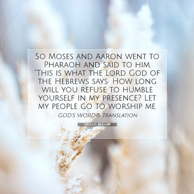 Picture 07 - Exodus 10:3 GW - So Moses and Aaron went to Pharaoh and said to - Bible Verse Picture