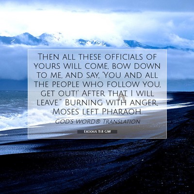 Picture 07 - Exodus 11:8 GW - Then all these officials of yours will come, bow - Bible Verse Picture