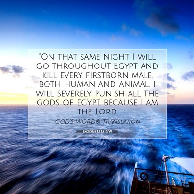 Picture 07 - Exodus 12:12 GW - “On that same night I will go throughout Egypt - Bible Verse Picture