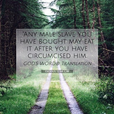 Picture 07 - Exodus 12:44 GW - “Any male slave you have bought may eat it - Bible Verse Picture