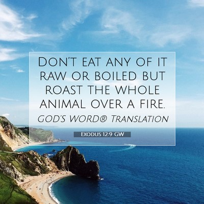 Picture 07 - Exodus 12:9 GW - Don’t eat any of it raw or boiled but roast the - Bible Verse Picture