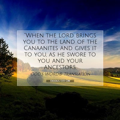 Picture 07 - Exodus 13:11 GW - “When the Lord brings you to the land of the - Bible Verse Picture