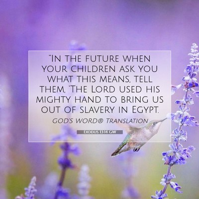 Picture 07 - Exodus 13:14 GW - “In the future when your children ask you what - Bible Verse Picture