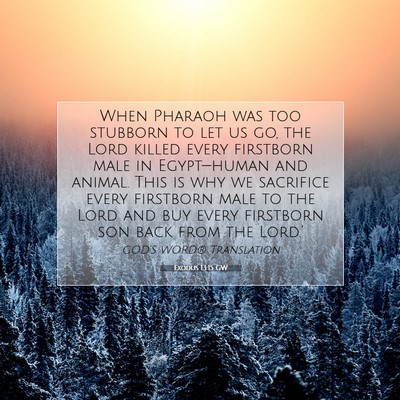 Picture 07 - Exodus 13:15 GW - When Pharaoh was too stubborn to let us go, the - Bible Verse Picture