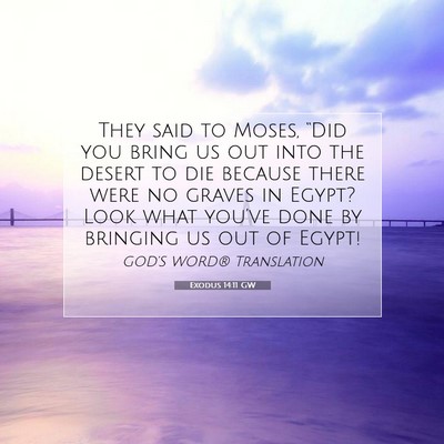 Picture 07 - Exodus 14:11 GW - They said to Moses, “Did you bring us out into - Bible Verse Picture