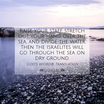 Picture 07 - Exodus 14:16 GW - Raise your staff, stretch out your hand over the - Bible Verse Picture