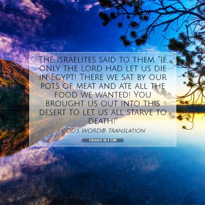 Picture 07 - Exodus 16:3 GW - The Israelites said to them, “If only the Lord - Bible Verse Picture