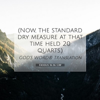 Picture 07 - Exodus 16:36 GW - (Now, the standard dry measure at that time held - Bible Verse Picture