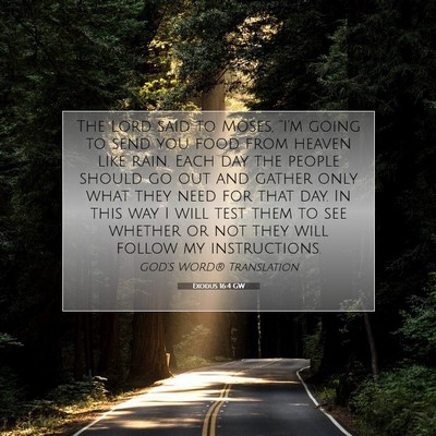Picture 07 - Exodus 16:4 GW - The Lord said to Moses, “I’m going to send - Bible Verse Picture