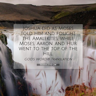 Picture 07 - Exodus 17:10 GW - Joshua did as Moses told him and fought the - Bible Verse Picture