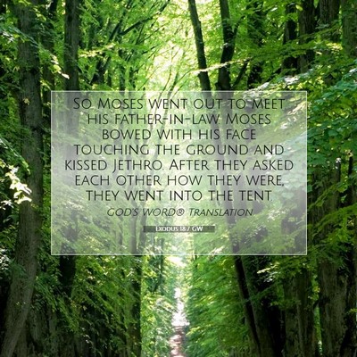 Picture 07 - Exodus 18:7 GW - So Moses went out to meet his father-in-law. - Bible Verse Picture