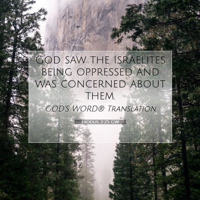 Picture 07 - Exodus 2:25 GW - God saw the Israelites being oppressed and was - Bible Verse Picture