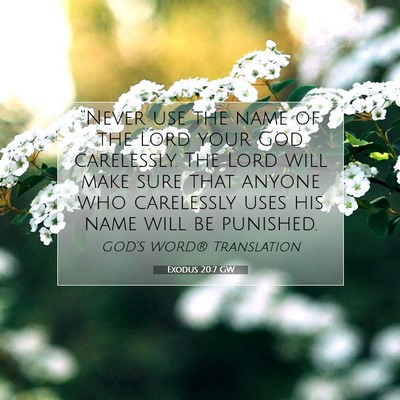 Picture 07 - Exodus 20:7 GW - “Never use the name of the Lord your God - Bible Verse Picture