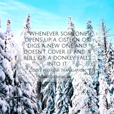 Picture 07 - Exodus 21:33 GW - “Whenever someone opens up a cistern or digs a - Bible Verse Picture