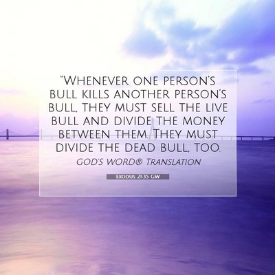 Picture 07 - Exodus 21:35 GW - “Whenever one person’s bull kills another - Bible Verse Picture