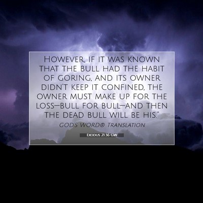 Picture 07 - Exodus 21:36 GW - However, if it was known that the bull had the - Bible Verse Picture
