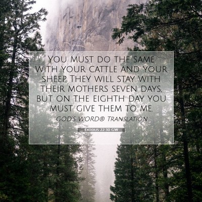 Picture 07 - Exodus 22:30 GW - You must do the same with your cattle and your - Bible Verse Picture