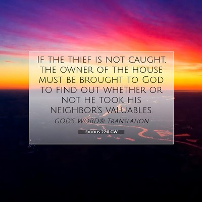 Picture 07 - Exodus 22:8 GW - If the thief is not caught, the owner of the - Bible Verse Picture