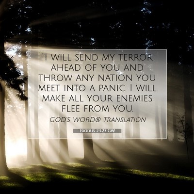 Picture 07 - Exodus 23:27 GW - “I will send my terror ahead of you and throw - Bible Verse Picture