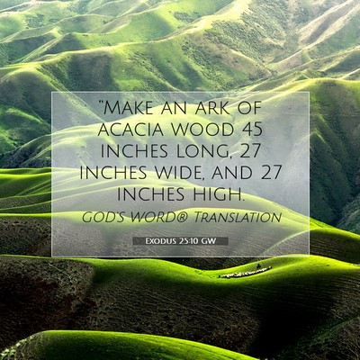 Picture 07 - Exodus 25:10 GW - “Make an ark of acacia wood 45 inches long, 27 - Bible Verse Picture