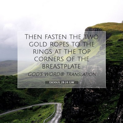 Picture 07 - Exodus 28:24 GW - Then fasten the two gold ropes to the rings at - Bible Verse Picture