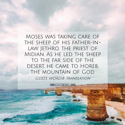 Picture 07 - Exodus 3:1 GW - Moses was taking care of the sheep of his - Bible Verse Picture