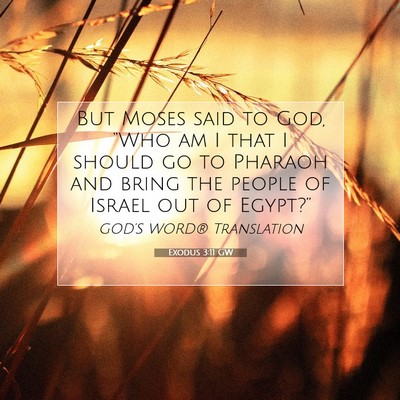Picture 07 - Exodus 3:11 GW - But Moses said to God, “Who am I that I should - Bible Verse Picture