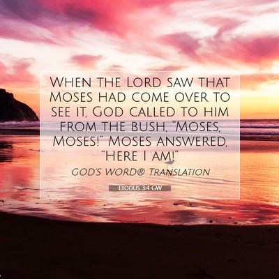 Picture 07 - Exodus 3:4 GW - When the Lord saw that Moses had come over to see - Bible Verse Picture