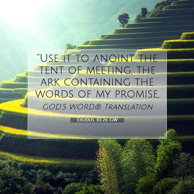 Picture 07 - Exodus 30:26 GW - “Use it to anoint the tent of meeting, the ark - Bible Verse Picture