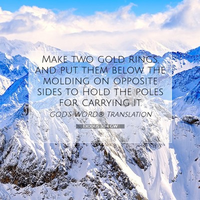 Picture 07 - Exodus 30:4 GW - Make two gold rings, and put them below the - Bible Verse Picture