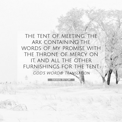 Picture 07 - Exodus 31:7 GW - the tent of meeting, the ark containing the words - Bible Verse Picture