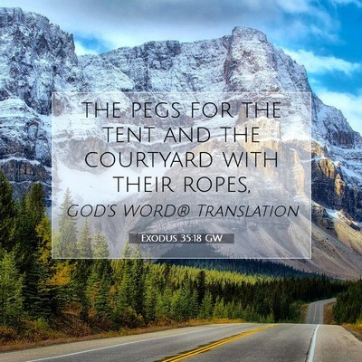 Picture 07 - Exodus 35:18 GW - the pegs for the tent and the courtyard with - Bible Verse Picture