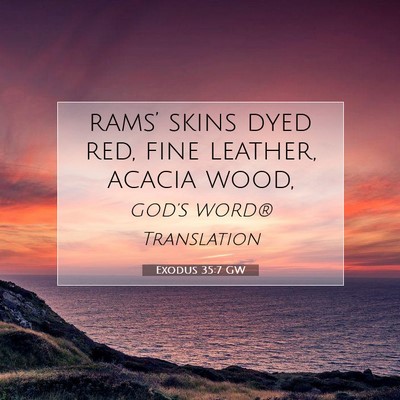 Picture 07 - Exodus 35:7 GW - rams’ skins dyed red, fine leather, acacia - Bible Verse Picture