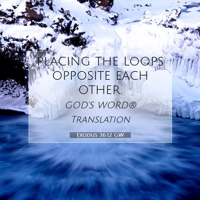 Picture 07 - Exodus 36:12 GW - placing the loops opposite each - Bible Verse Picture