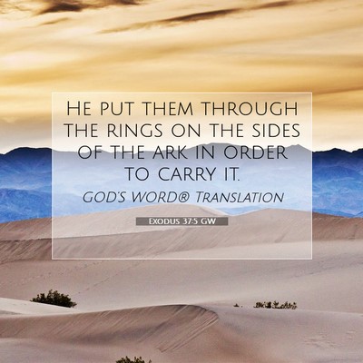 Picture 07 - Exodus 37:5 GW - He put them through the rings on the sides of the - Bible Verse Picture