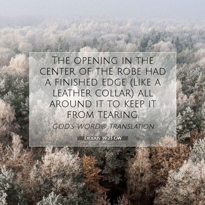 Picture 07 - Exodus 39:23 GW - The opening in the center of the robe had a - Bible Verse Picture