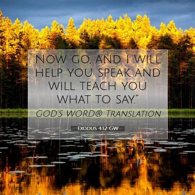 Picture 07 - Exodus 4:12 GW - Now go, and I will help you speak and will teach - Bible Verse Picture